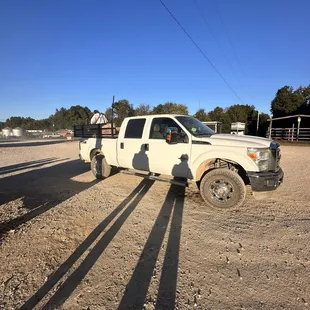 Rattlesnake Taxi to the cave