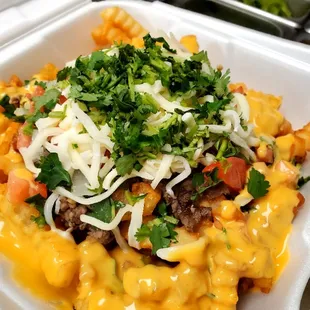 Carne Asada Fries with Xtra cilantro.