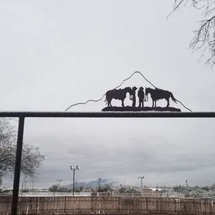 A rare Snow Day at Raven Ranch!