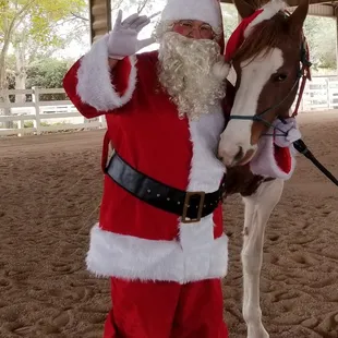 Look who came to visit our horse at Raven Ranch! 3