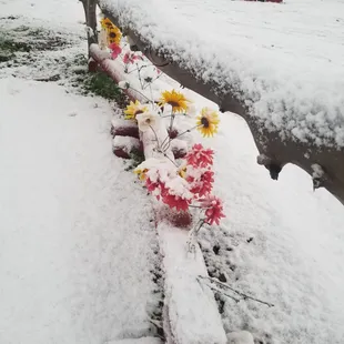 One of the many Hunter-jumps on the Snow Day at Raven Ranch.