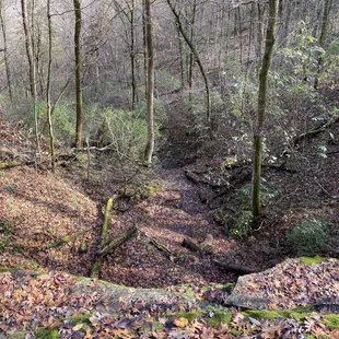 Raven Run Nature Sanctuary
