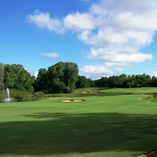 View from the Patio.