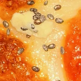 Bug eggs people don&apos;t ear here