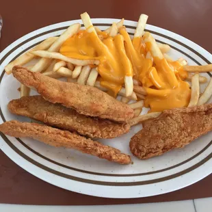 a plate of fried chicken and french fries