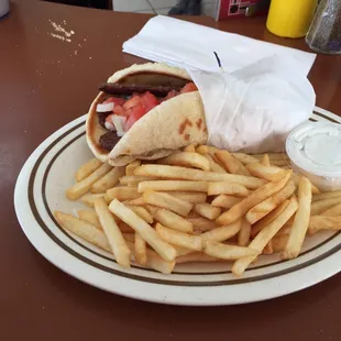 a pita sandwich and french fries