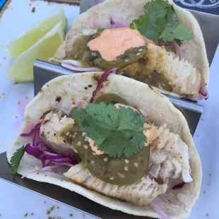 Mahi Mahi Taco