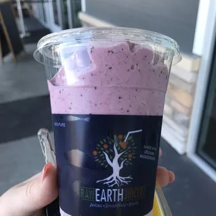 Raw Smoothie Strawberry /blueberry