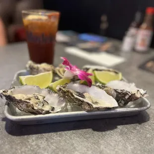 Oysters