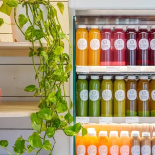 Organic, Cold-pressed juices, smoothies, cleanses