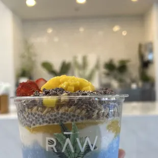 Build-Your-Own Bowl (Blue Paradise, Mango, &amp; Coconut base)