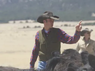 Vaquero Feed and Livestock Supply