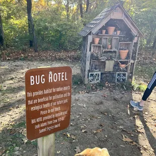 Bug Hotel