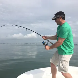 Jeff F.