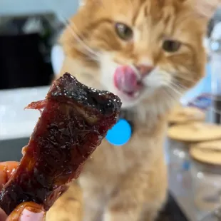 bbq ribs, food, ribs