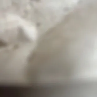 a close up view of a piece of pizza