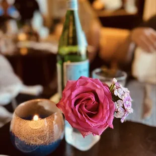 cupcakes, food, dessert