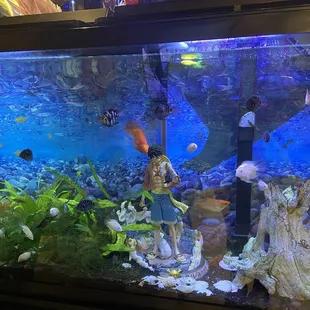 Fish tank with anime features