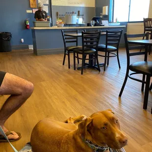a man and his dog