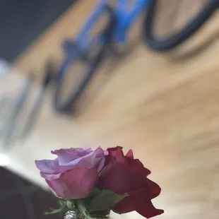 a rose in a glass vase