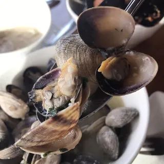 Steamed Manila Clams