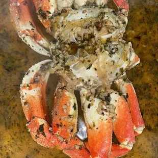 Dungeness Crab