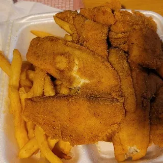 Tilapia