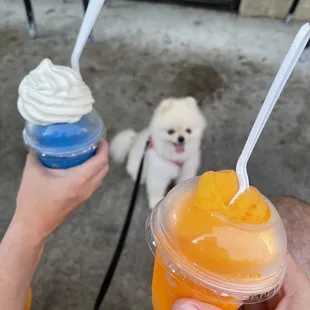 Tangerine water Ice &amp; Blue Raspberry Rays Rocket