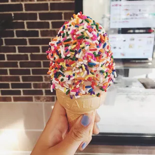 vanilla/chocolate swirl soft serve custard with rainbow sprinkles
