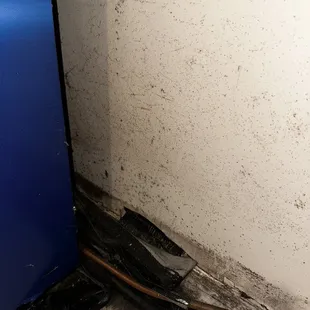 Mold near the restroom