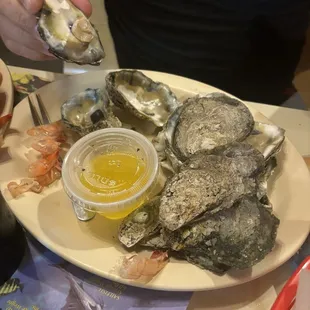 Steamed Oysters