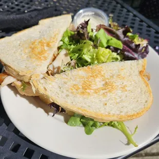 a grilled sandwich and salad