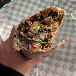 Chicken Shish Kebab Wrap