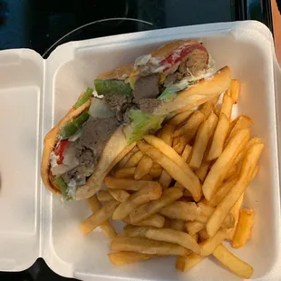 Steak and cheese all the way with fries
