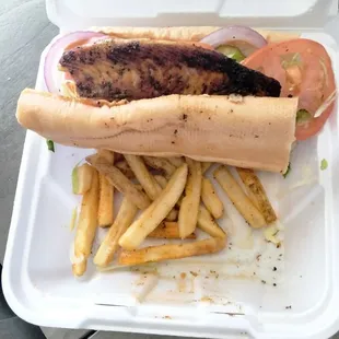 a hot dog and french fries