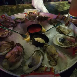 Oysters*