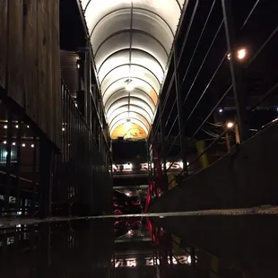 a reflection in a puddle of water