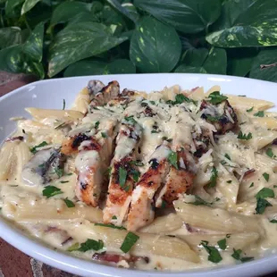 a plate of pasta with chicken