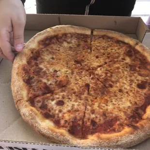 &quot;Fresh&quot; Cardboard &quot;pizza&quot;