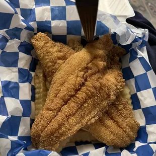 Catfish fillets and fries