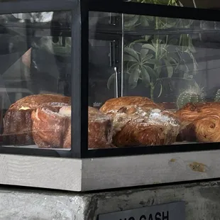 No cash less germs!  Right in!