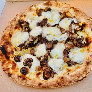 tartufata pizza - fior di latte mozzarella, garlic, crimini mushrooms, black truffle oil