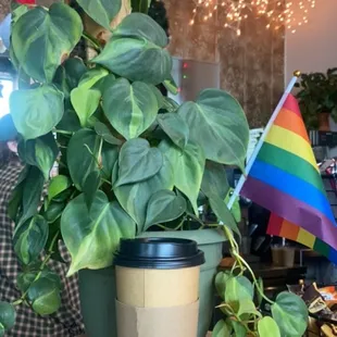 ramen and noodles, interior