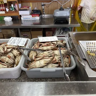 @kurlykonnoisseur| blue crab