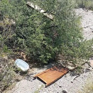 RSG threw broken furniture into bushes