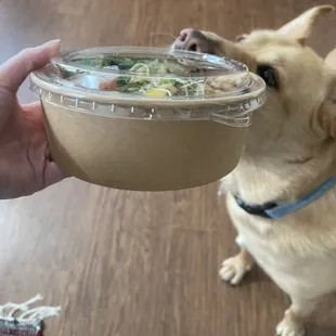 Hawaiian Chicken Bowl (taken to show depth of bowl)