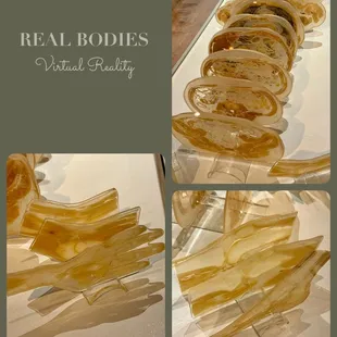 Real Bodies