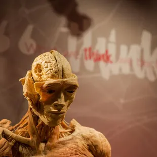 Experience real human bodies presented in dramatic and compelling environments at REAL BODIES at Bally&apos;s.