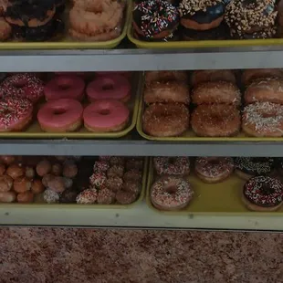 Best doughnuts this side of the Mississippi.