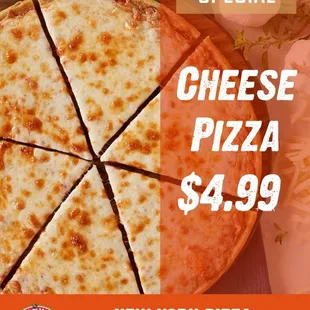 a cheese pizza